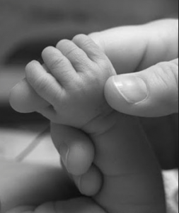 Baby holding parent's hand